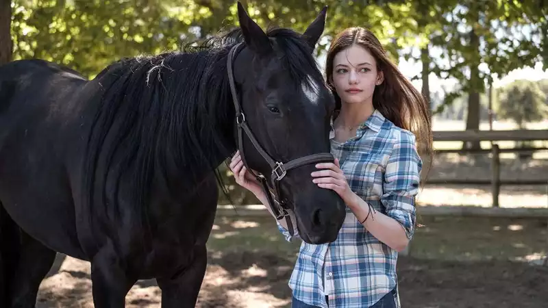 How to Watch Black Beauty at Disney Plus: Release Date, Trailer and Cast