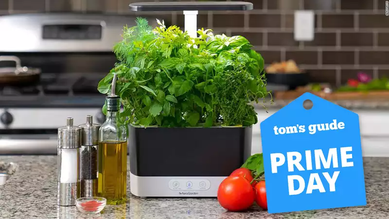 AeroGardens Prime Day Deal allows you to grow your own vegetables for underた100