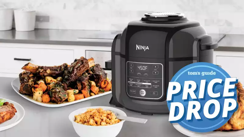 Ninja Food Ideal Slash best55 Best Air Fryer and Pressure Cooker Off