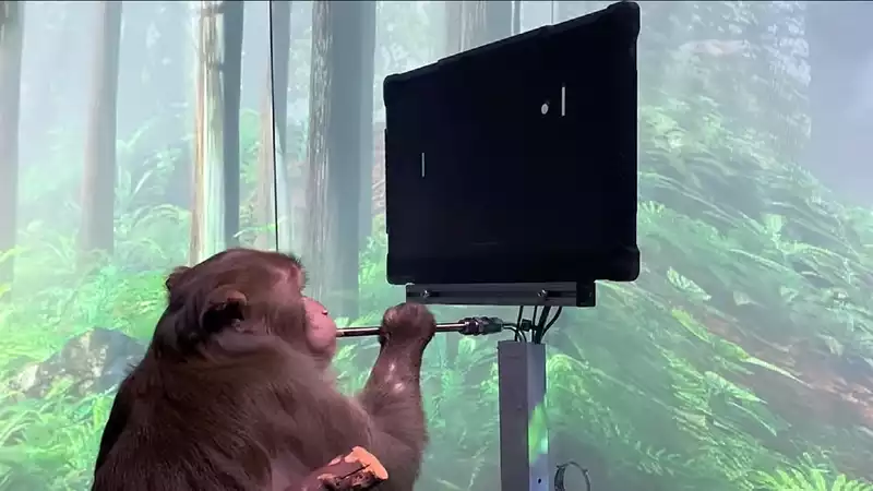 Neuralink video shows the pong controlling the monkey's mind — Watch this